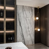 Alsker Dual Arm Large Pendant Light V2