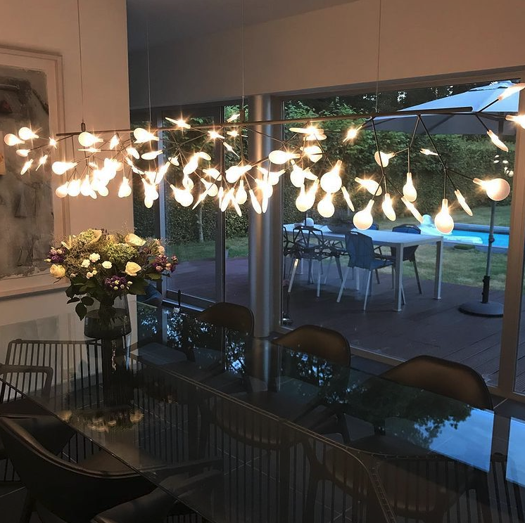 Moooi Heracleum Endless Suspension Replica Light in Various Colours