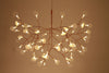 Moooi Heracleum Suspension Replica Light 72cm in Various Colours